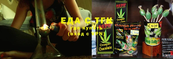 гашик Дмитров