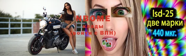 гашик Дмитров