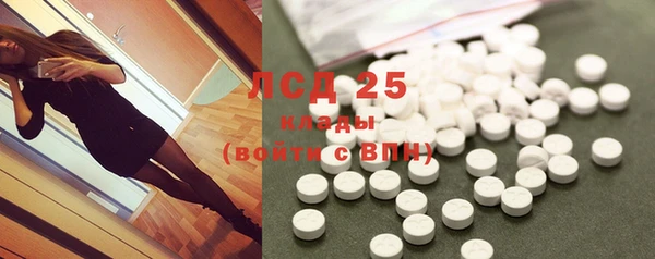 стафф Дмитровск