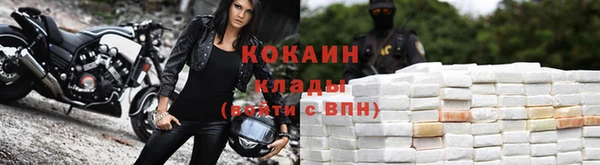 стафф Дмитровск
