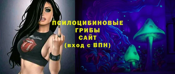 а пвп мука Дмитриев
