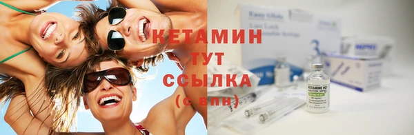 гашик Дмитров