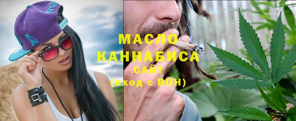 гашик Дмитров